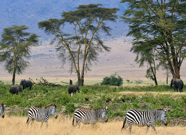 Tanzania