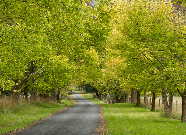 Pallotti College Retreat Centre