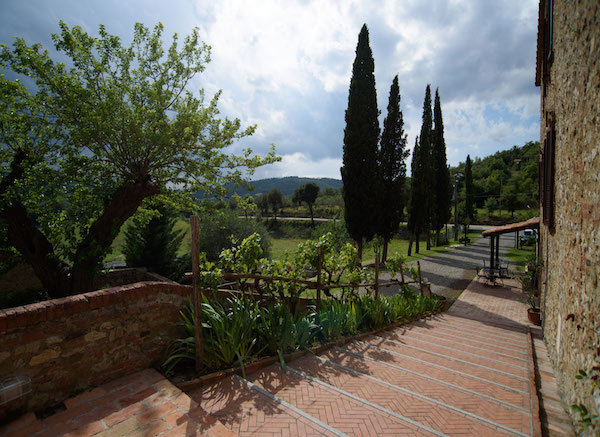 Fattoria Il Santo 