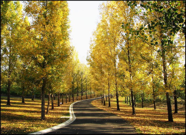 Pallotti College Retreat Centre